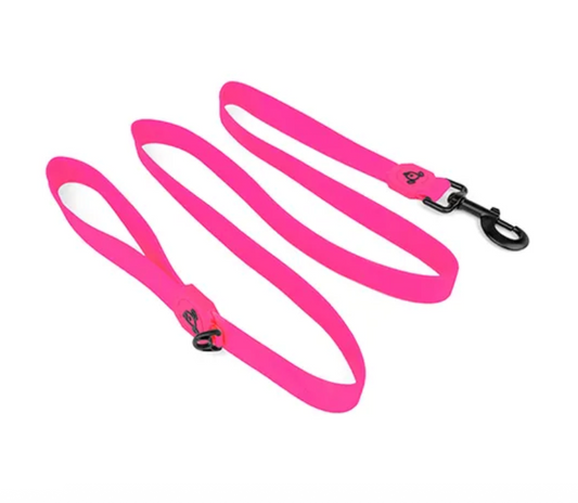 Bainbridge Waterproof Dog Leash