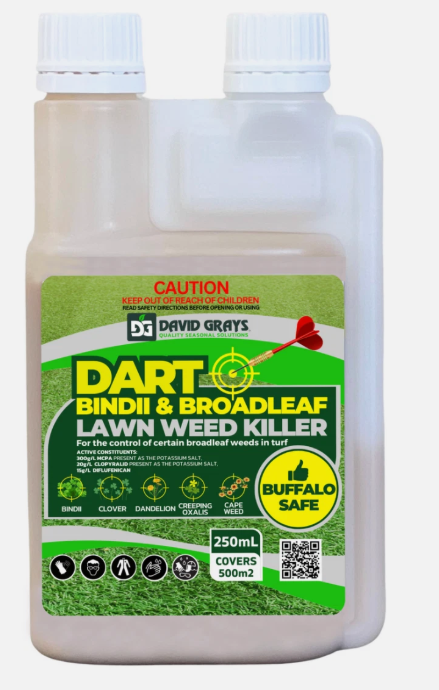 Dart Bindii & Broadleaf