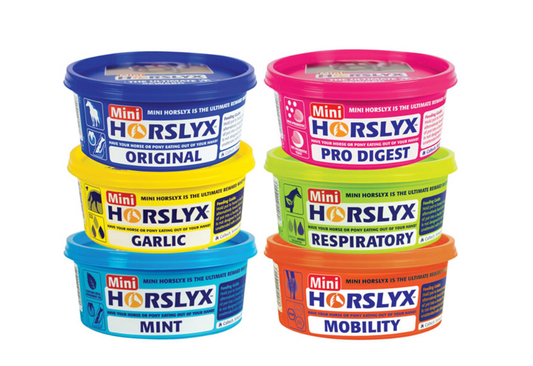 Horslyx Mini Lick 650g