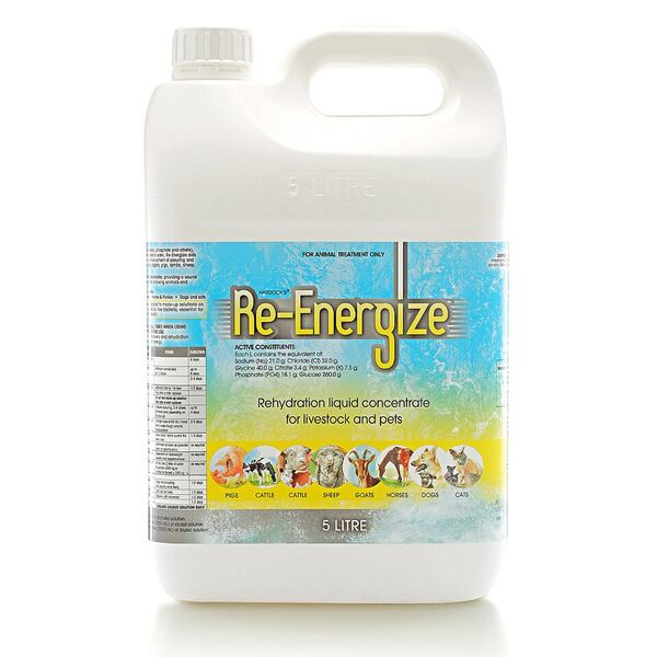 IAH Re-Energize
