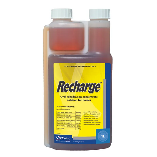 Virbac Recharge Horse