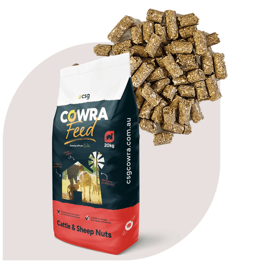 Cowra Cattle & Sheep Nuts 20kg