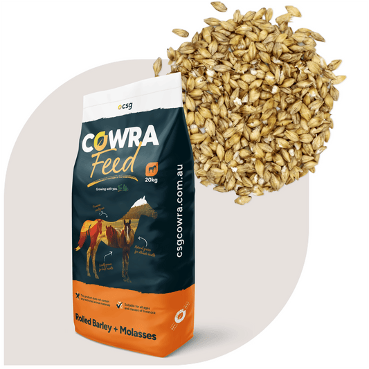 Cowra Rolled Barley & Molasses 20kg