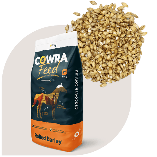Cowra Rolled Barley 20kg