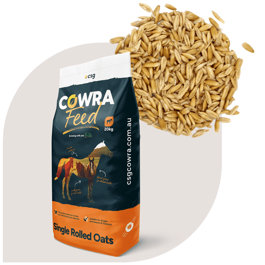 Cowra Single Rolled Oats 20kg