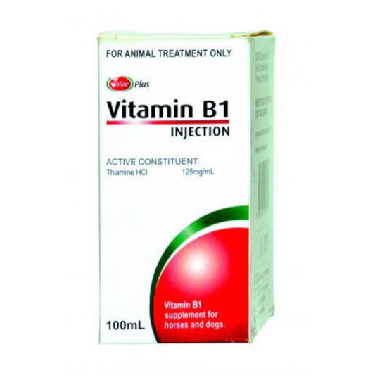 ValuePlus Vitamin B1 Injection 100ml