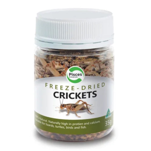 Pisces Freeze Dried Crickets 35g Jar For Reptiles & Poultry