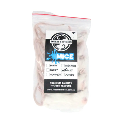 Rodent Brothers Frozen MICE