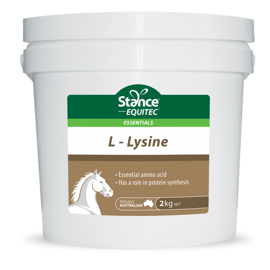 Stance Equitec Lysine 2kg