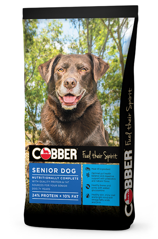 Cobber Senior Dog 20kg