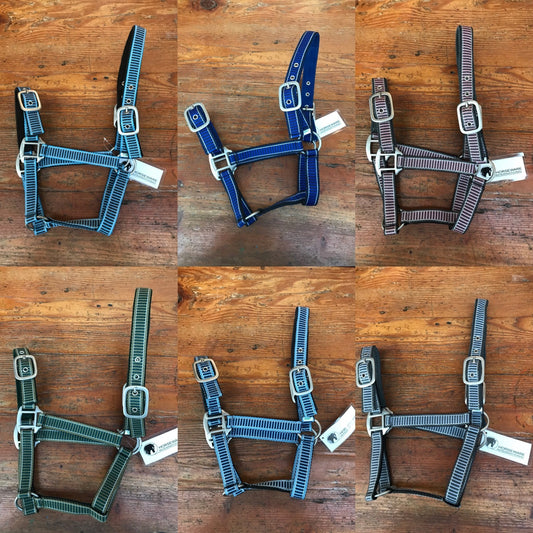 Superior Padded Web Halter Various colours