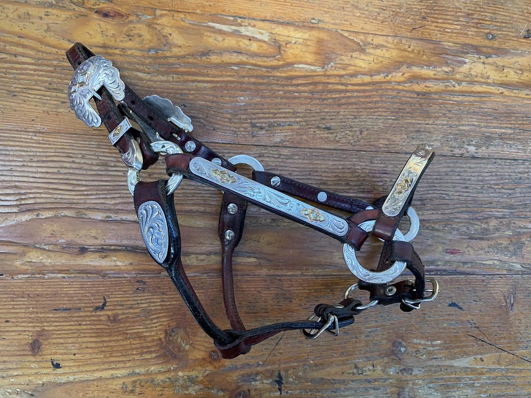 SH Western Halter WEANLING Brown (243102)
