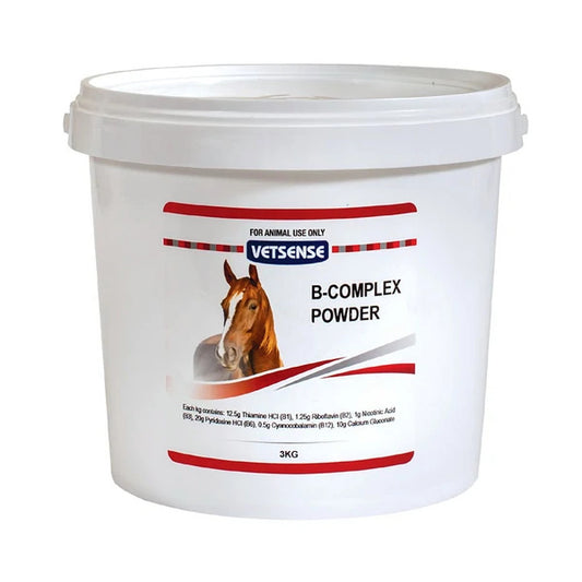 Vetsense Vitamin B Complex Powder 3kg Helps Restore Energy In Horses And Dogs