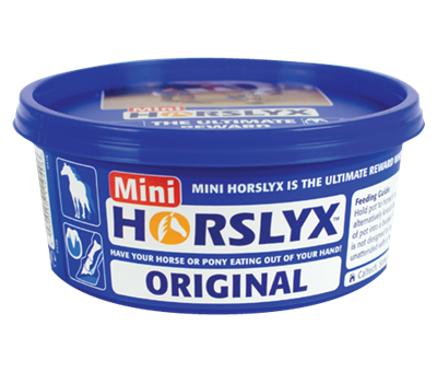 Horslyx Original 650g Vitamin & Mineral Mini Lick For Horses