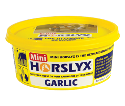 Horslyx Garlic 650g Vitamin & Mineral Mini Lick For Horses