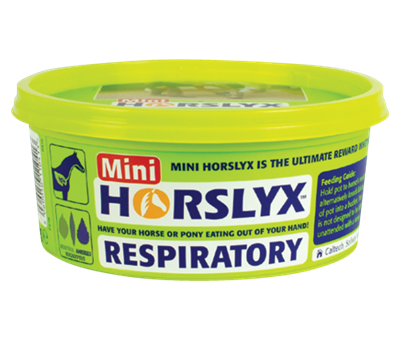 Horslyx Respiratory 650g Vitamin & Mineral Mini Lick For Horses