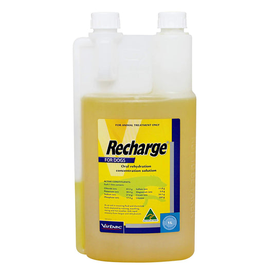 Recharge For Dogs 1 Litre The Sports Drink For Dogs