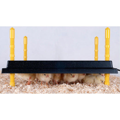 Poultry Chick Warmer Plate 30cm x 30cm Square To Help Keep Baby Chicks Warm