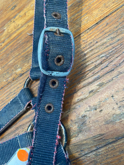 SH Roma Halter COB Navy (243004)