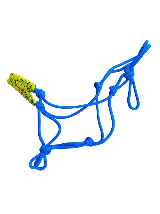 NEW Rope Halter COB Blue/Yellow (236108)