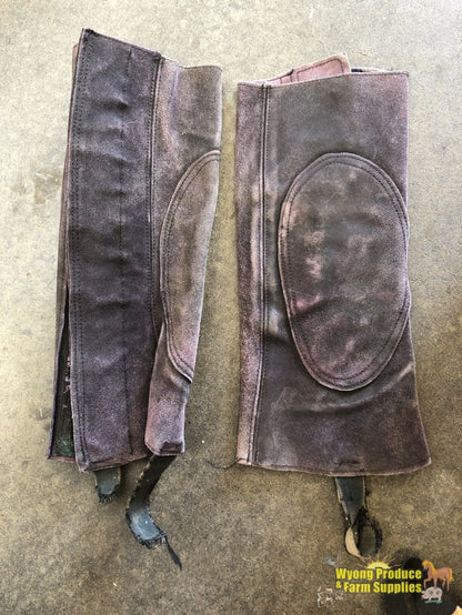 Suede Leather Half Chaps. Size Large (070212)